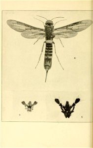 n43_w1150