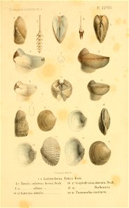 n160_w1150