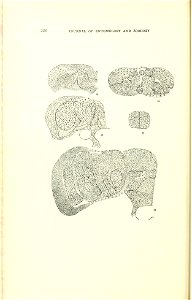 n259_w1150