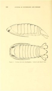 n185_w1150
