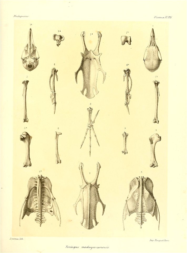 n256_w1150
