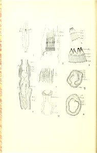 n59_w1150
