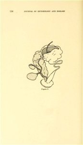 n175_w1150