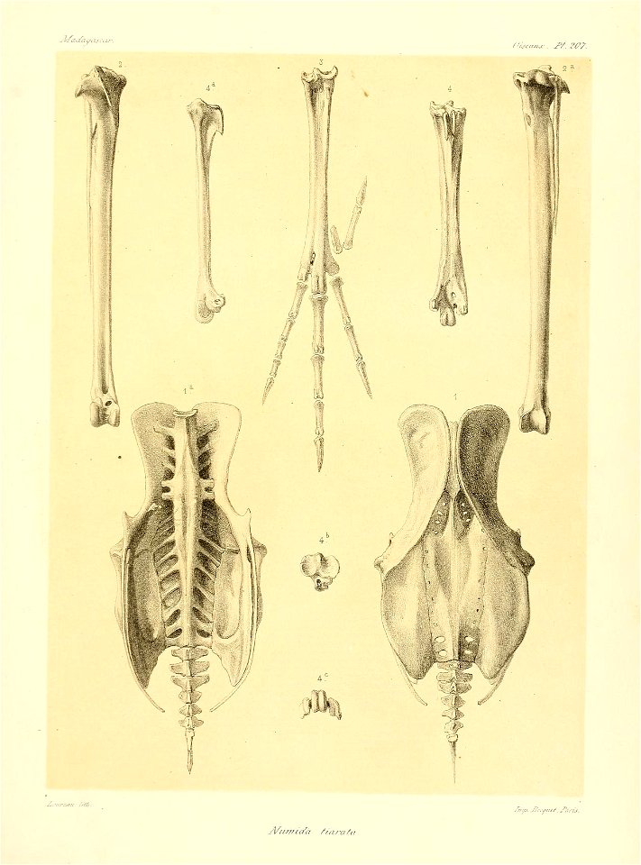 n284_w1150