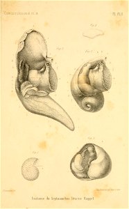 n186_w1150