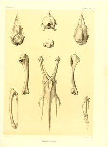n282_w1150