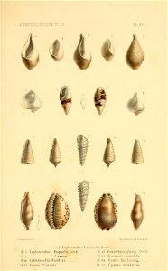 n184_w1150