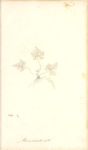 n84_w1150