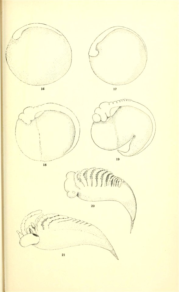 n256_w1150
