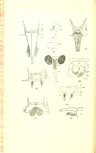 n127_w1150