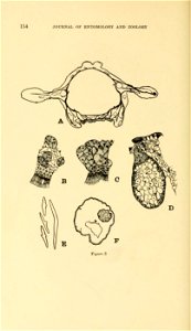 n173_w1150