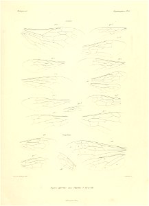 n634_w1150