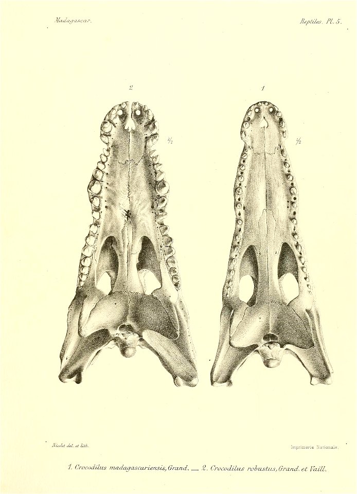 n110_w1150