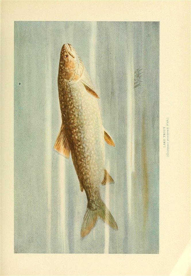 n474_w1150