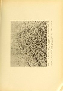 n274_w1150