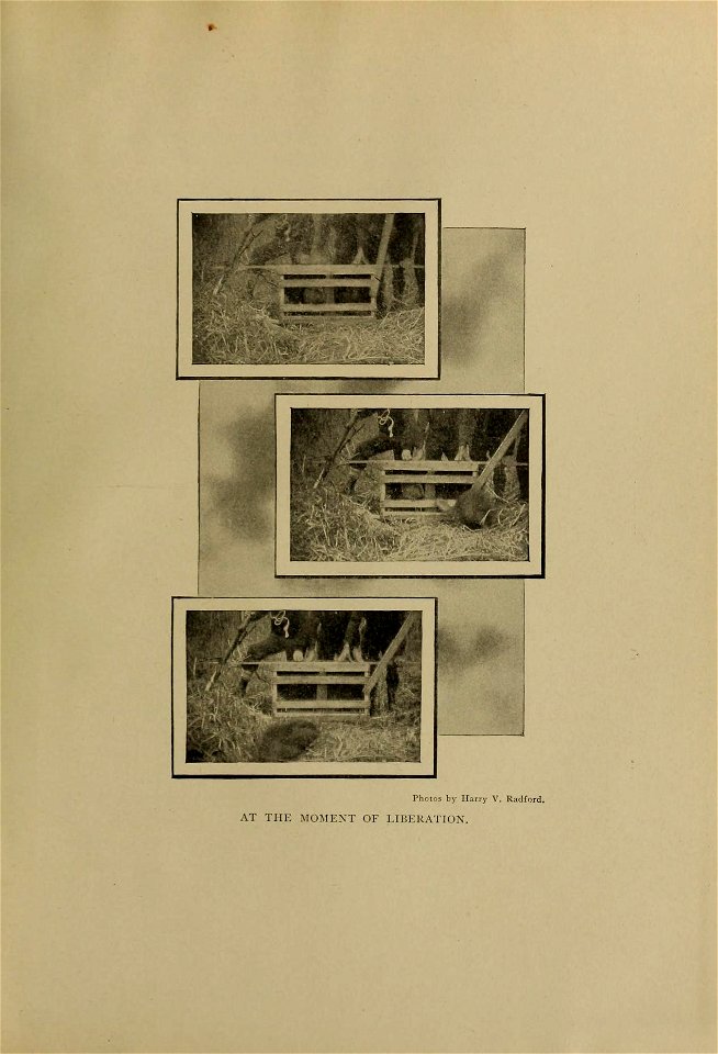 n564_w1150