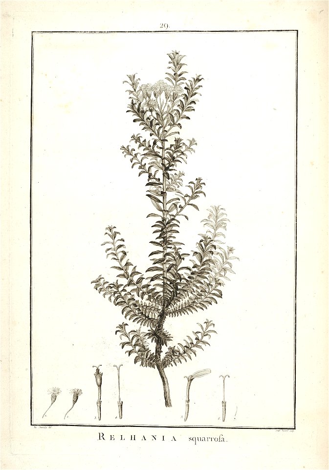 n44_w1150