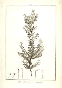 n44_w1150