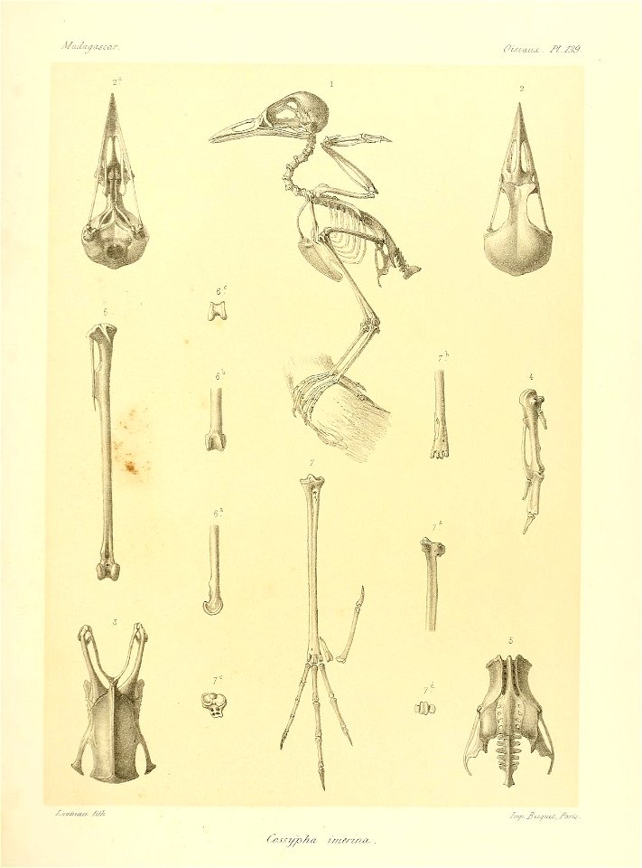 n116_w1150