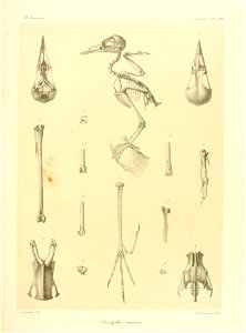 n116_w1150