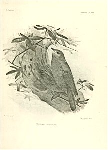 n56_w1150