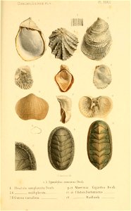 n168_w1150