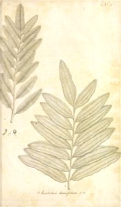 n44_w1150