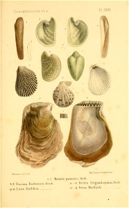 n166_w1150