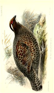n478_w1150