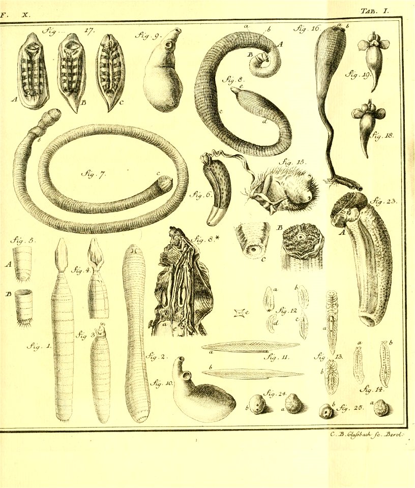 n544_w1150
