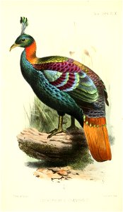 n467_w1150