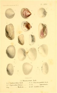 n162_w1150