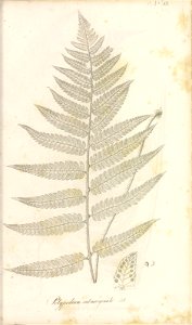 n68_w1150