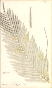 n88_w1150
