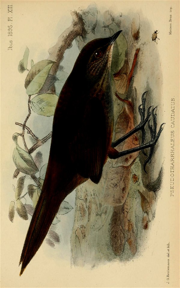 n506_w1150