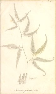 n102_w1150
