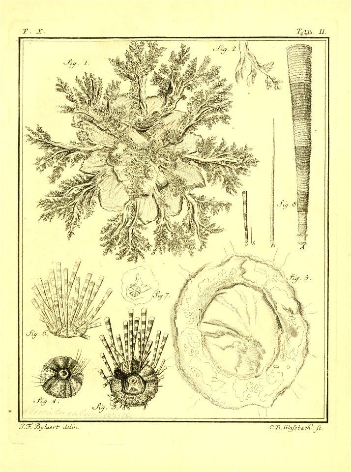 n136_w1150