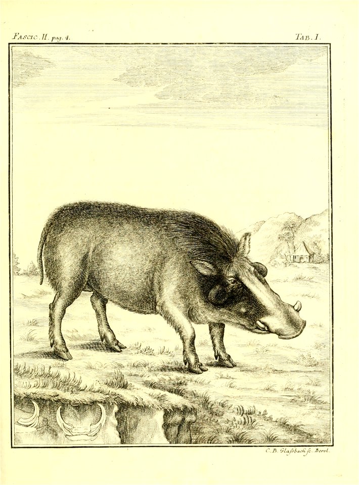 n66_w1150