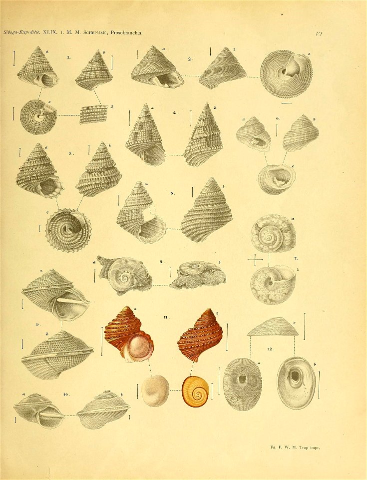 n142_w1150