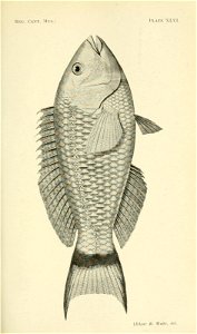 n358_w1150
