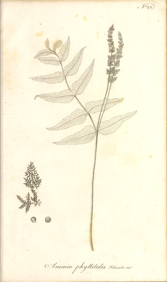 n98_w1150