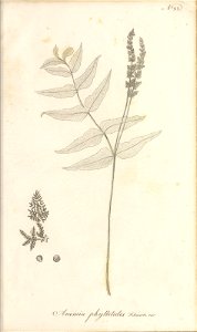 n98_w1150