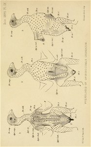 n422_w1150