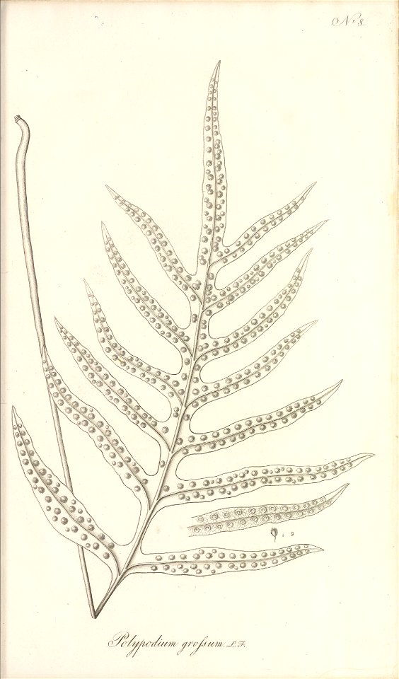n58_w1150