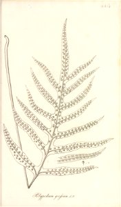 n58_w1150