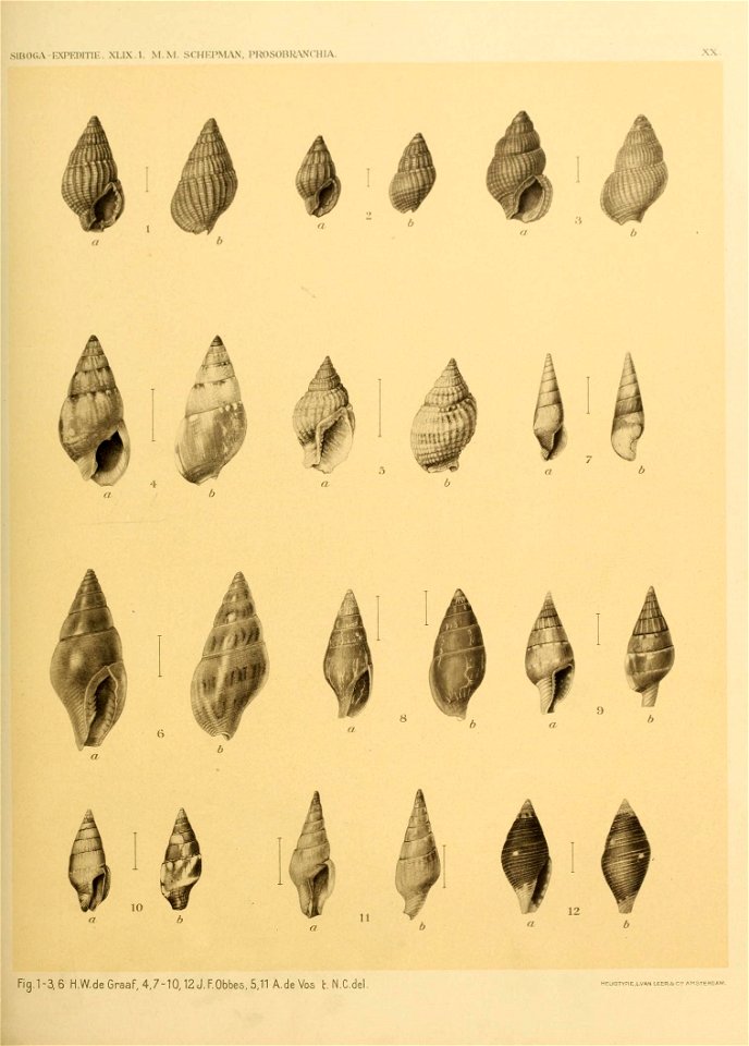 n140_w1150