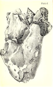 n356_w1150