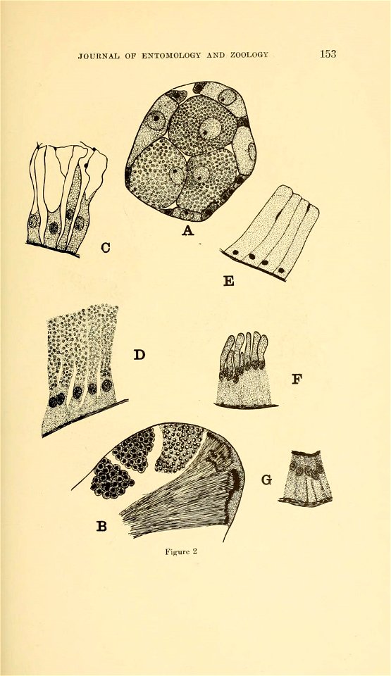 n172_w1150