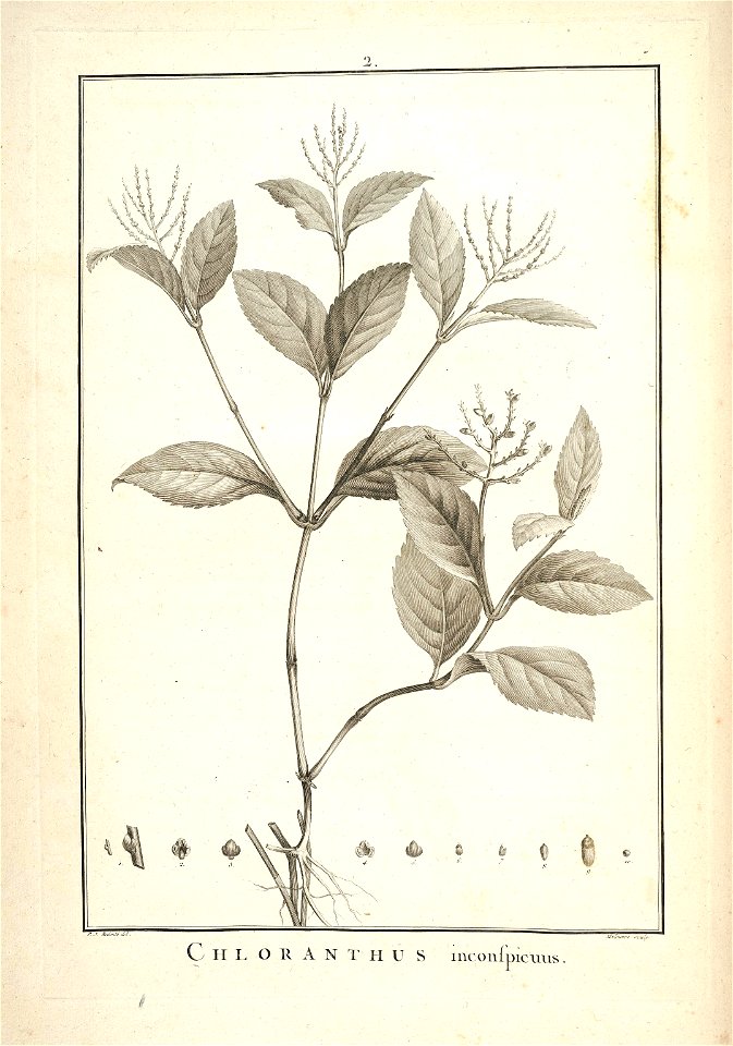 n4_w1150