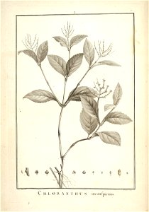 n4_w1150
